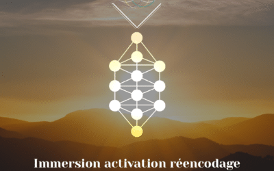 Immersion activation • réencodage Alchimie Ascension