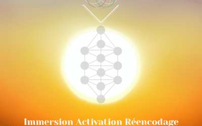 Immersion activation • réencodage Alchimie Solaire