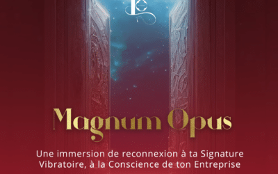 Magnum Opus – Immersion d&rsquo;Entreprise